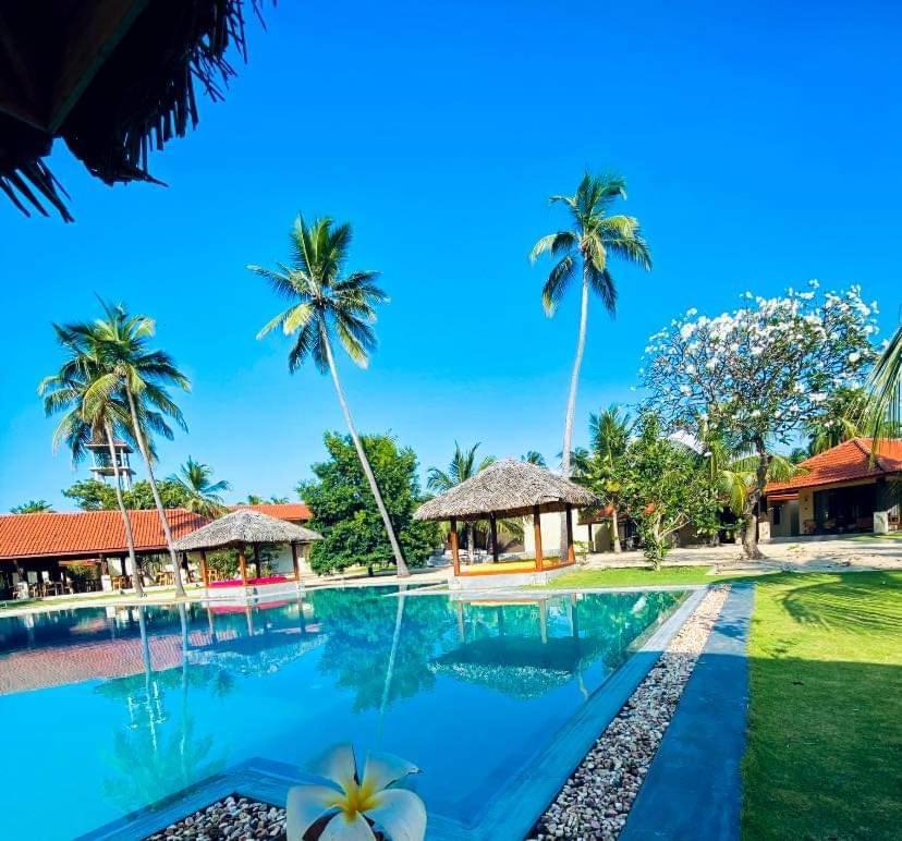 Blue Waves Kite Surfing Beach Resort Калпития Экстерьер фото